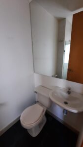 guayacan de avignon 8