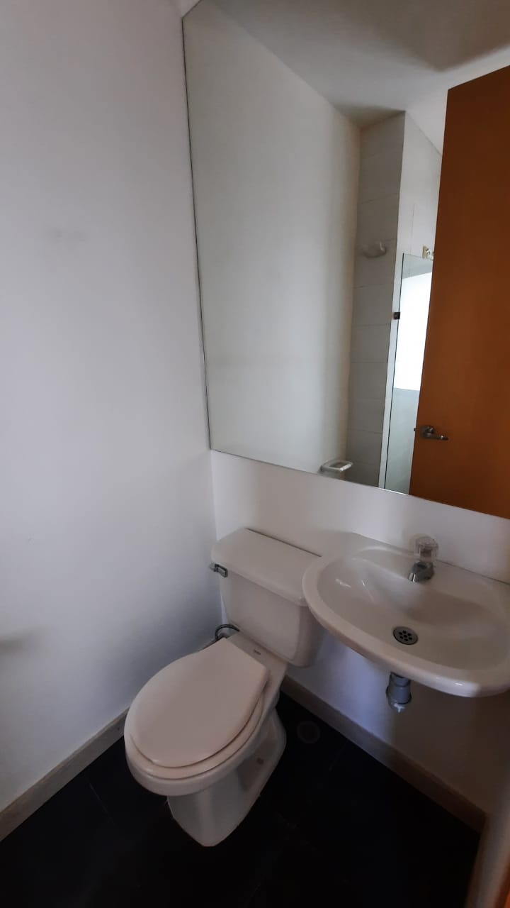 guayacan de avignon 8